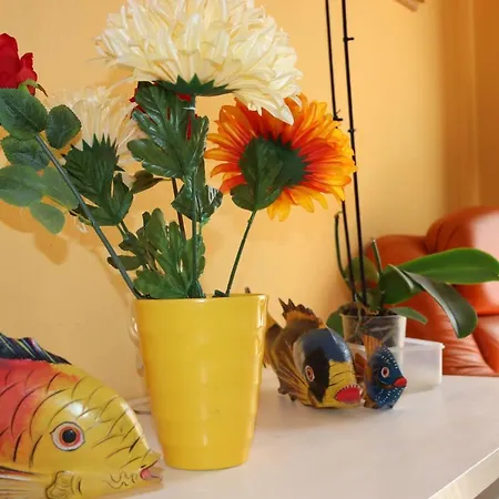 Casa Andreea Vicino Al Centro Di Iun R5904 * Όλμπια
